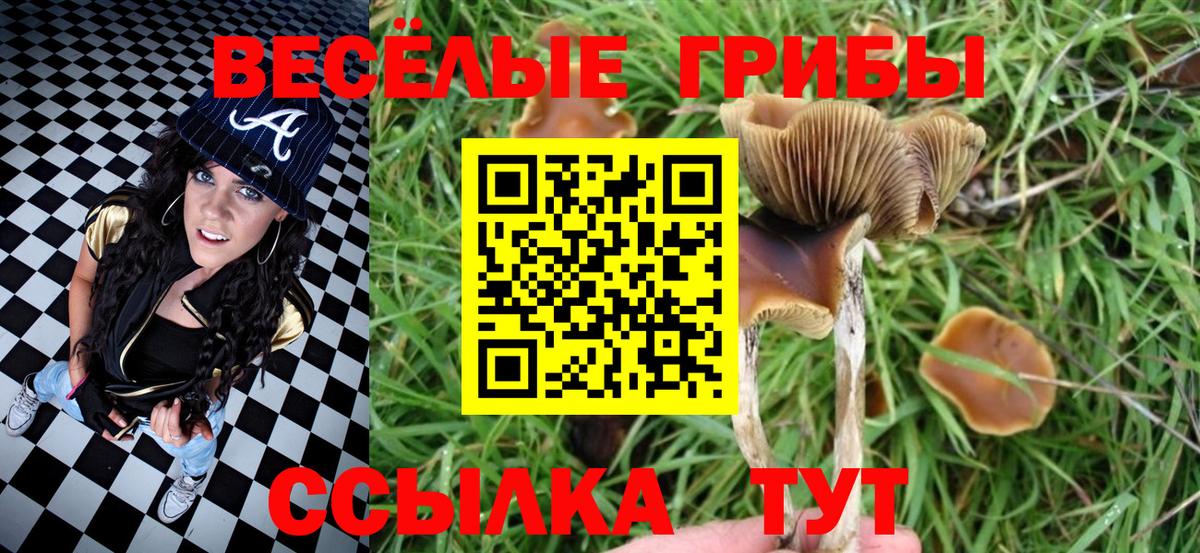 Псилоцибиновые грибы Magic Shrooms Мыски