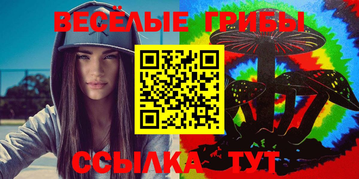 Псилоцибиновые грибы Psilocybine cubensis  Вход с VPN  Мыски 